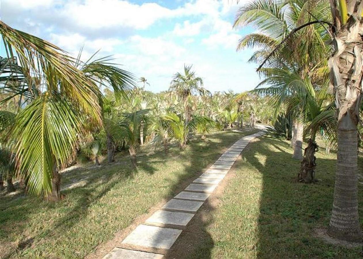 Rocks Retreat By Eleuthera Vacation RentalsNorth Palmetto Point エクステリア 写真